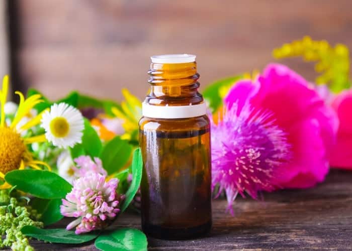 راهنمای خرید دستگاه خوشبو کننده هوا