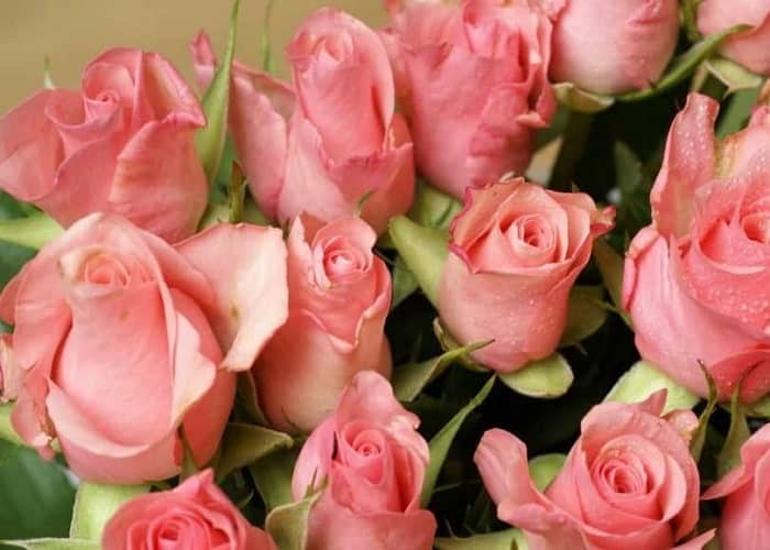 تجهیزات خوشبوکننده هوا صنعتی