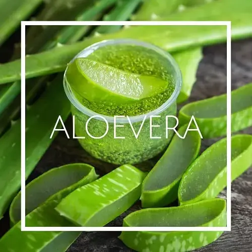 اسانس خوشبو کننده هوا آلوئه ورا (Aloe Vera)